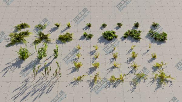 images/goods_img/20210312/3D model Moss 7 Species and Stones - PBR Asset Kit/5.jpg